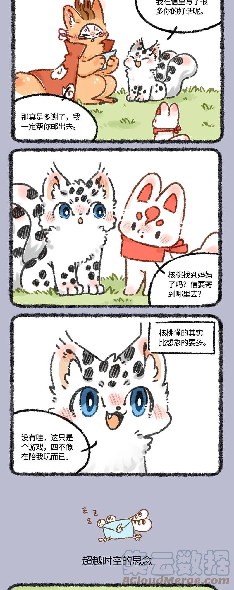 606 给妈妈的信1