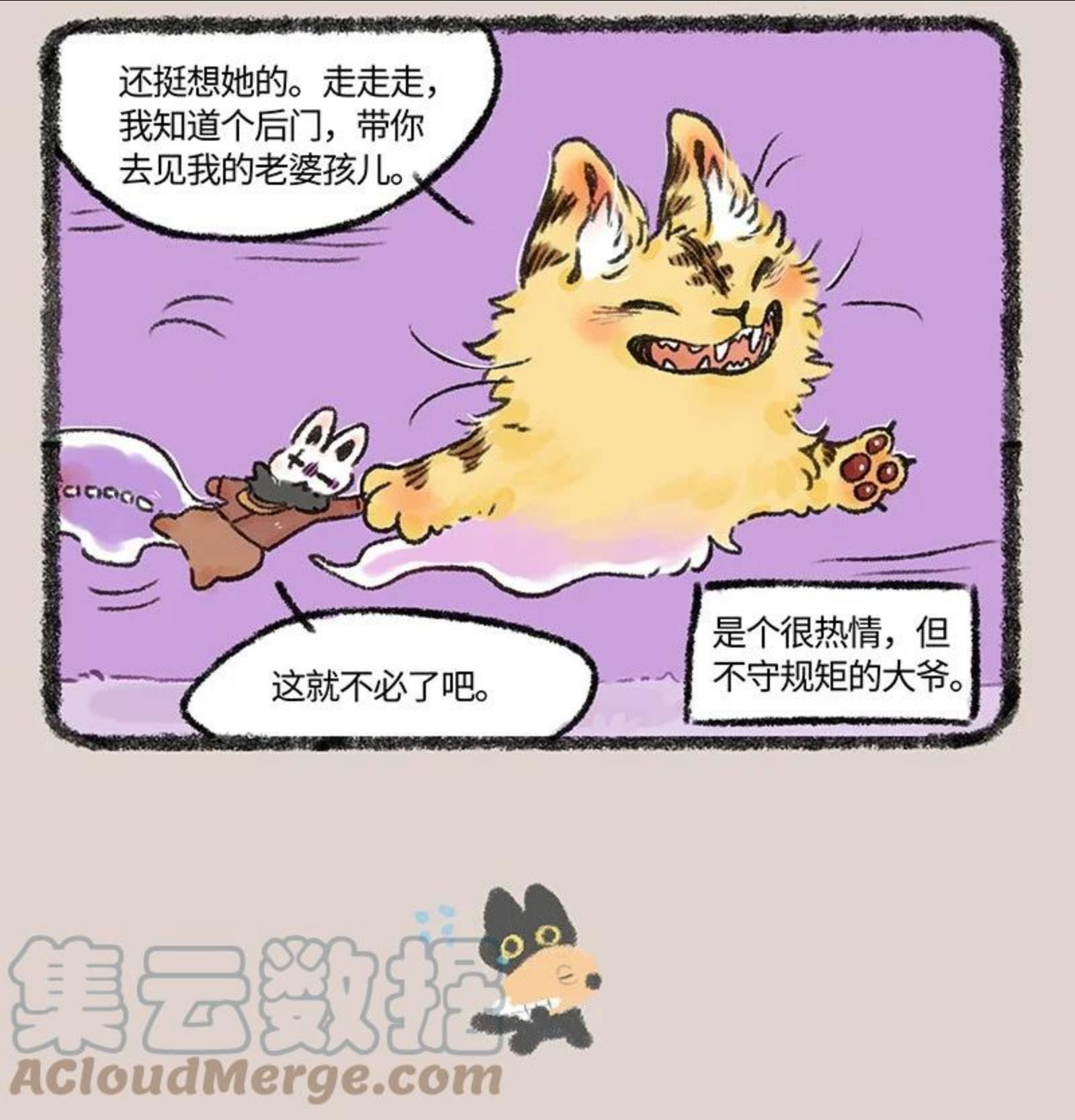 593 浇花的猫大爷3
