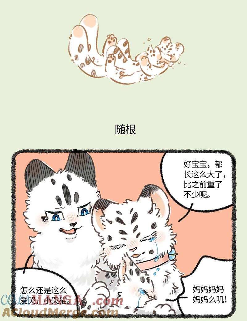 977 孟极篇之重逢3