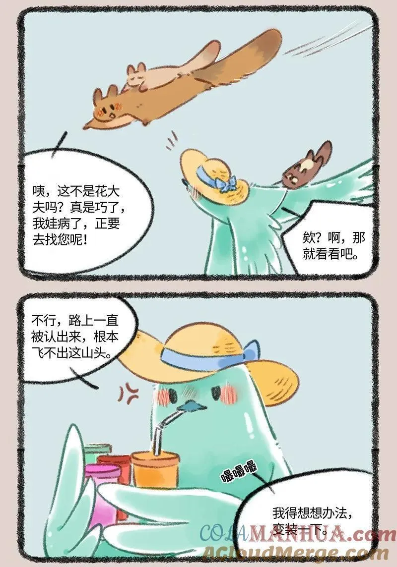 805 花蕊鸟的伪装4