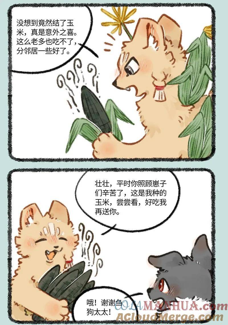 795 刍狗新时尚4