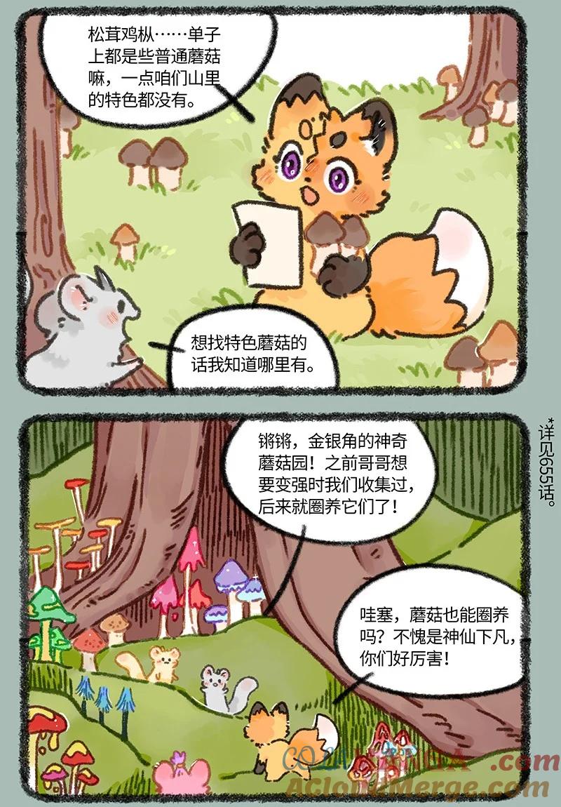 936 庆生礼物2
