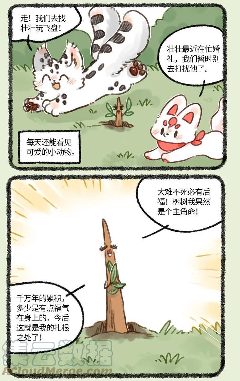 681 后院居住权2