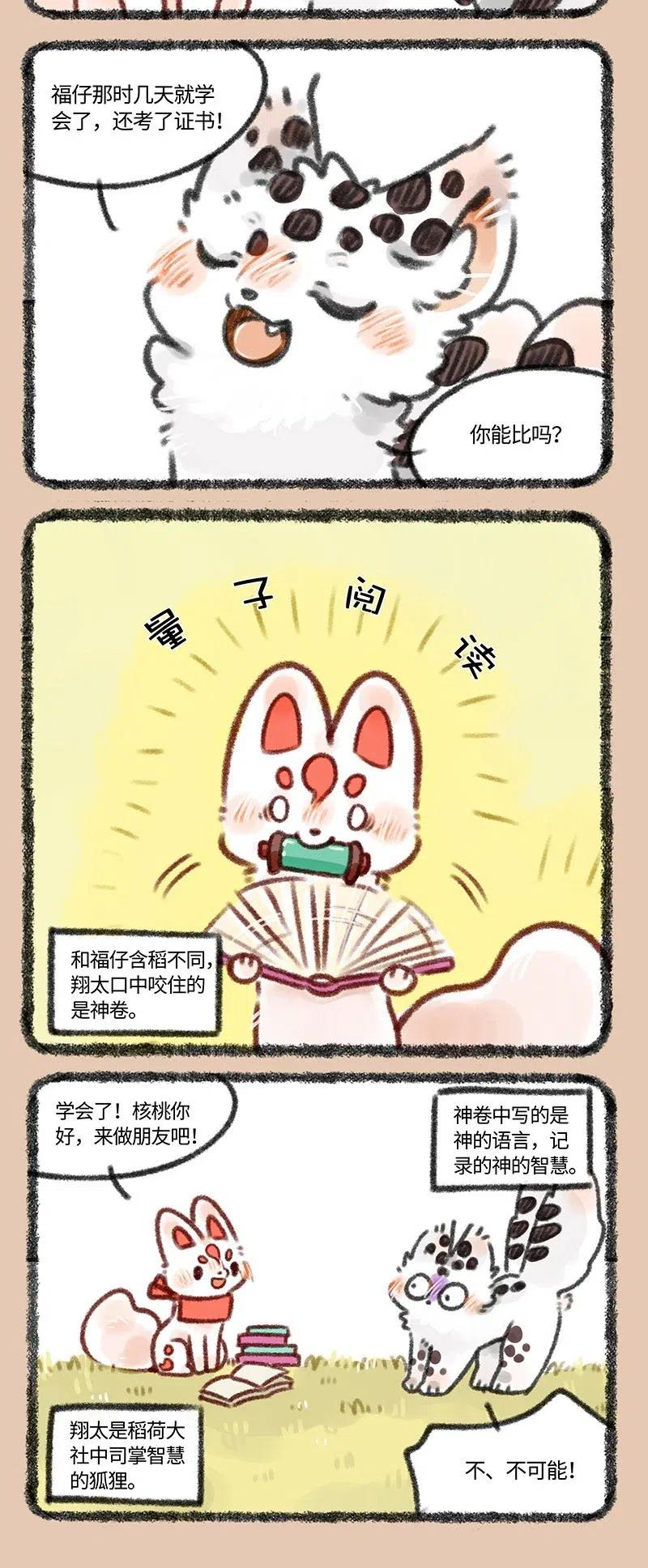 412 智慧狐狸1