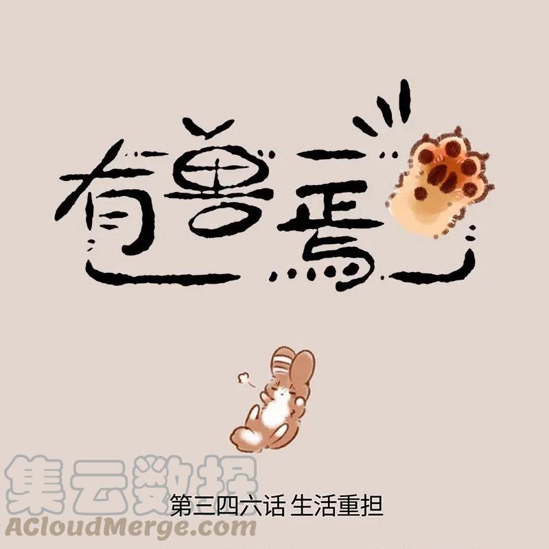 346 兔爷生病了0