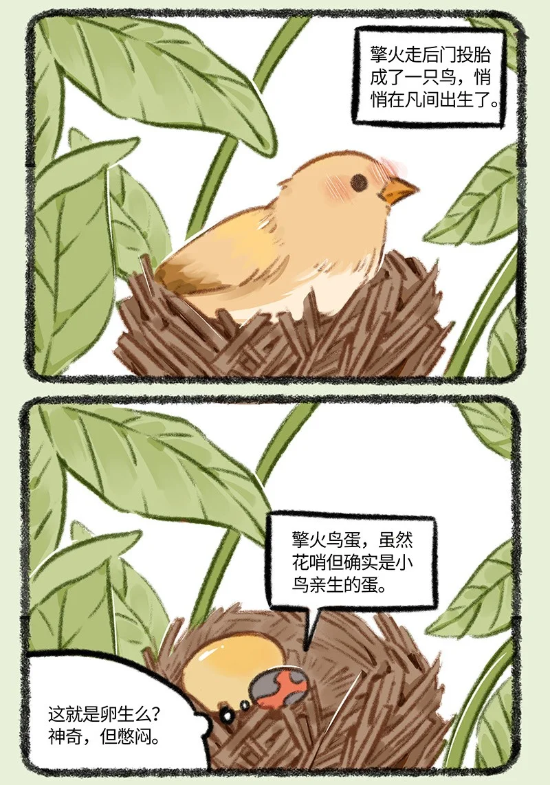 876 物竞天择1