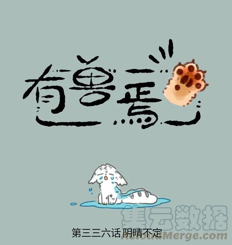 336 阴晴不定0