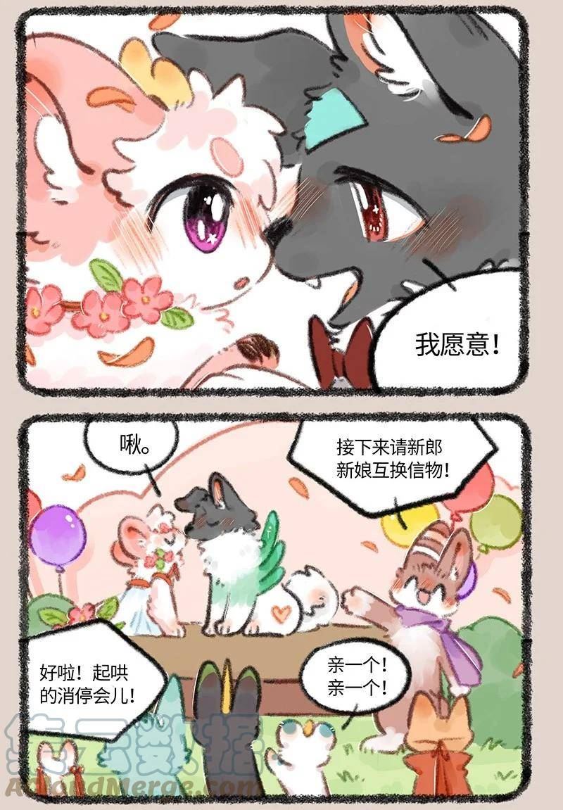 706 盛大的婚礼4