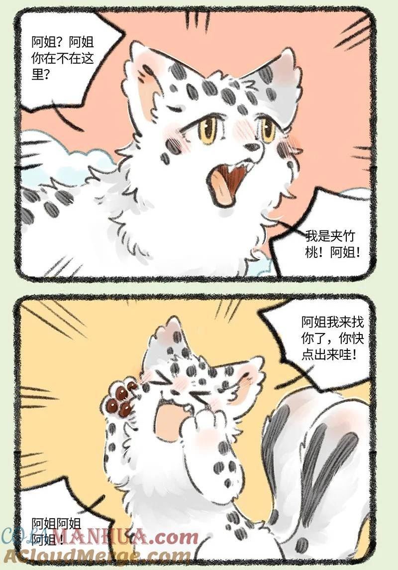 735 阿姐你到底在哪2