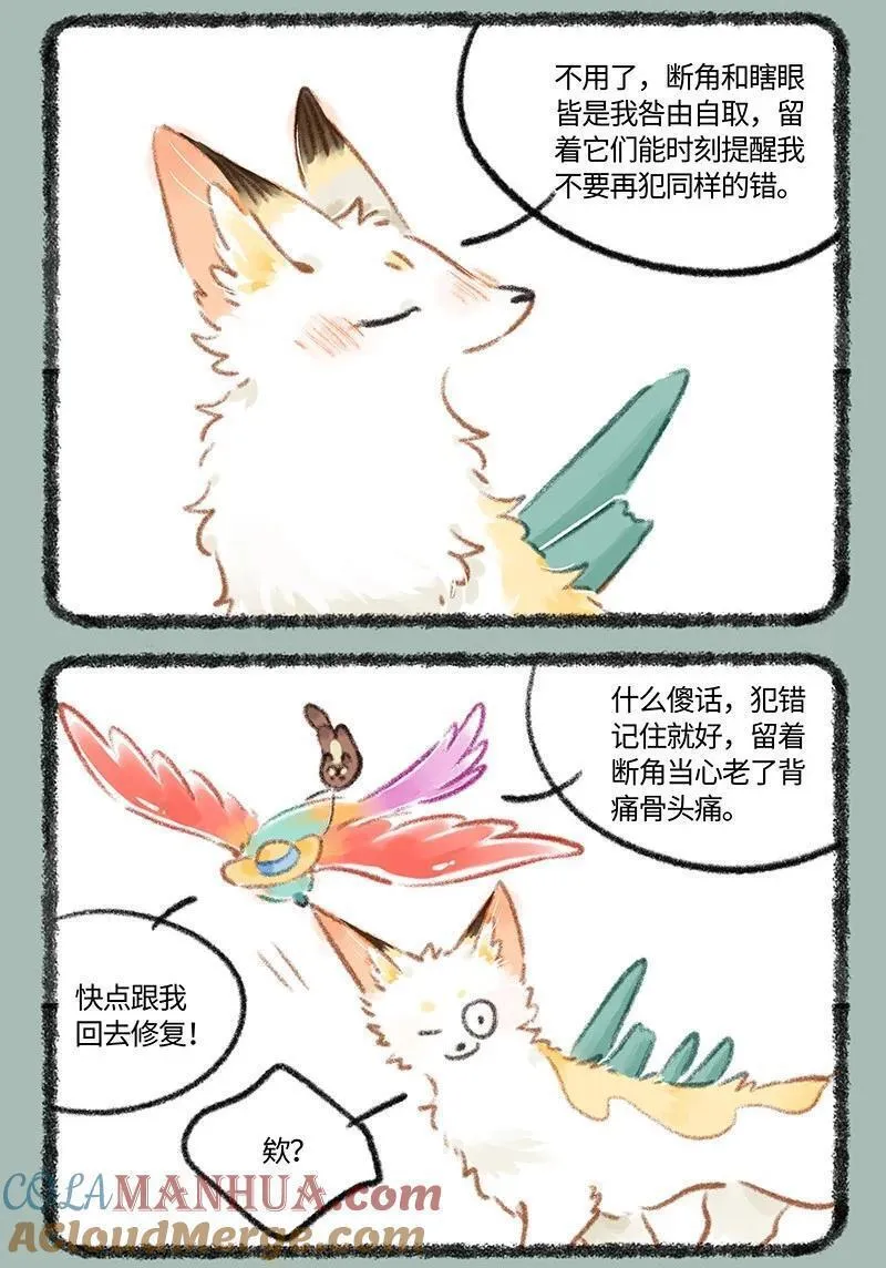 806 治愈花椒4