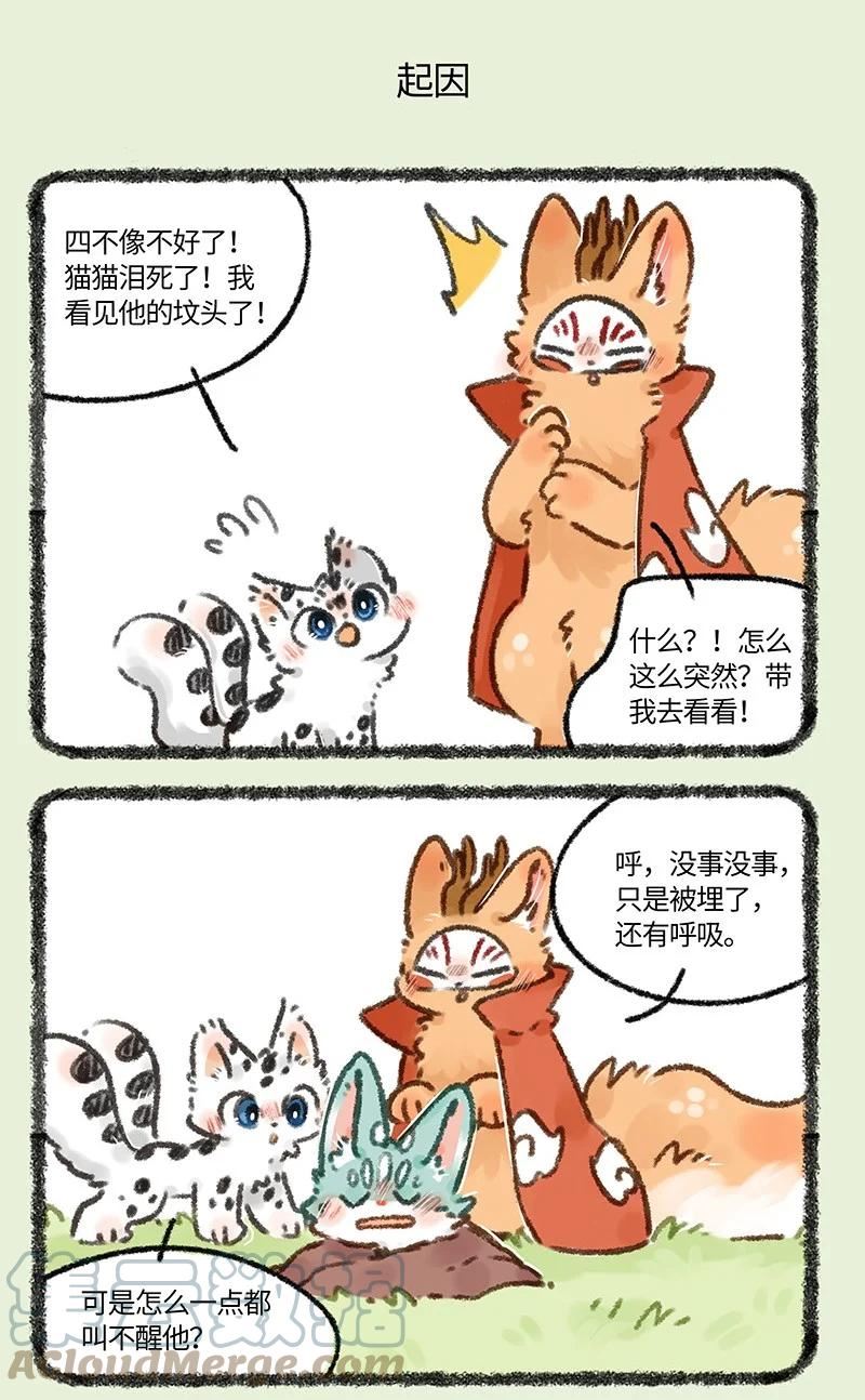 664 这种猫精埋了吧3