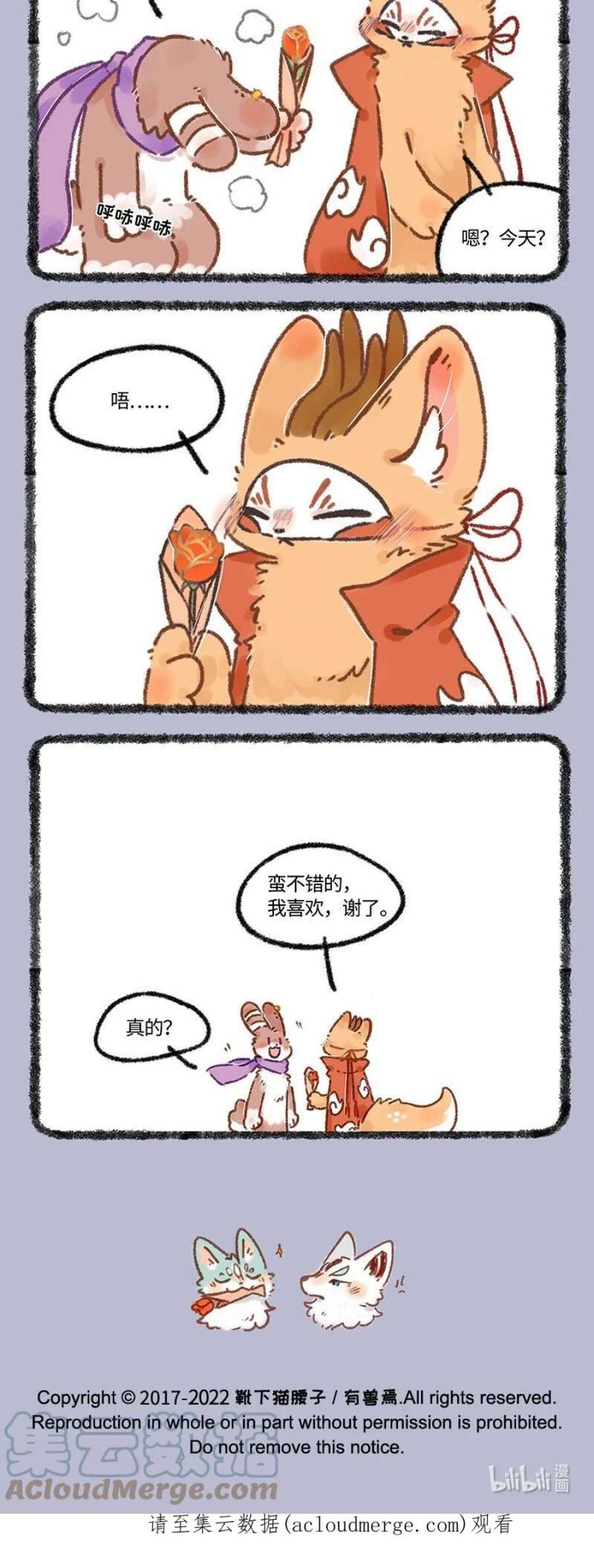 646 七夕玫瑰3
