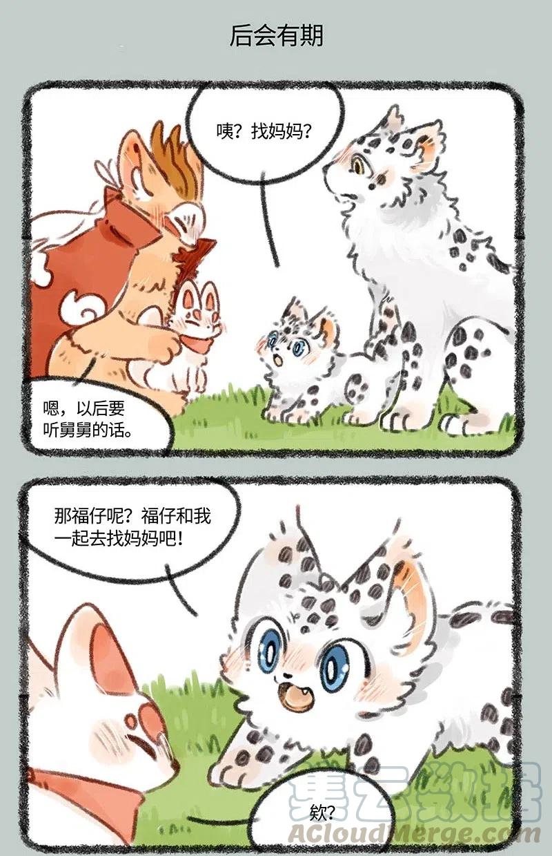 387 核桃要走了4