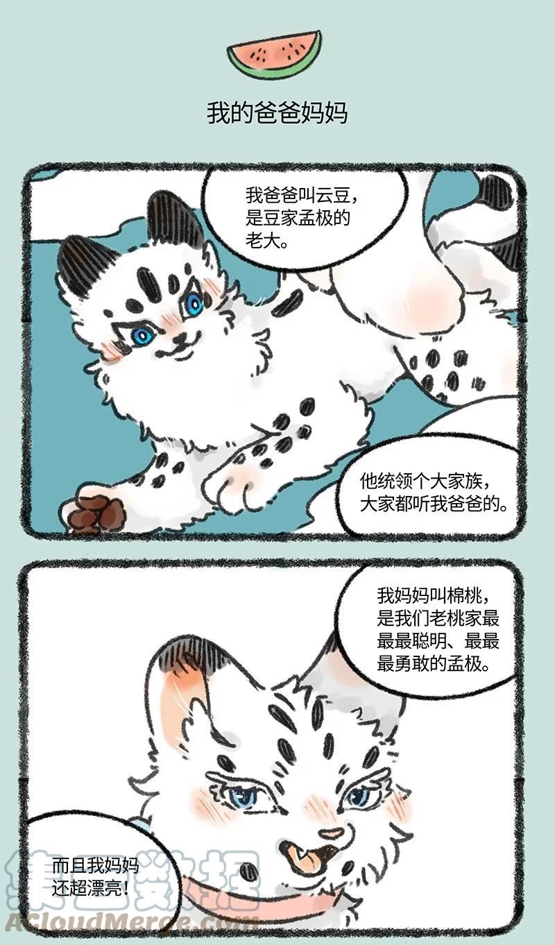 627 核桃的爸爸妈妈4