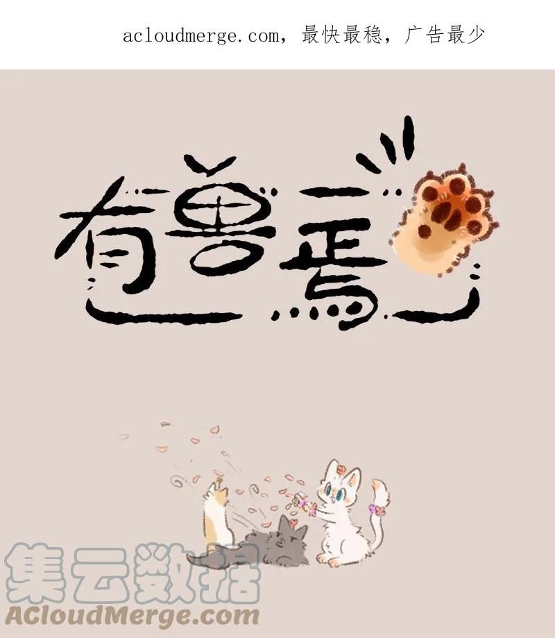 706 盛大的婚礼0