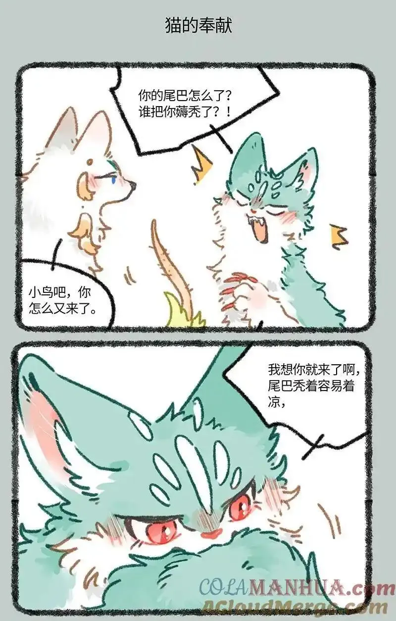 847 猫的奉献4