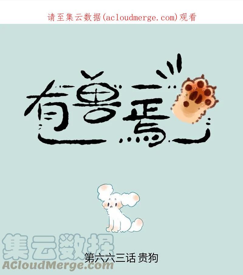 663 兔爷的贵狗0