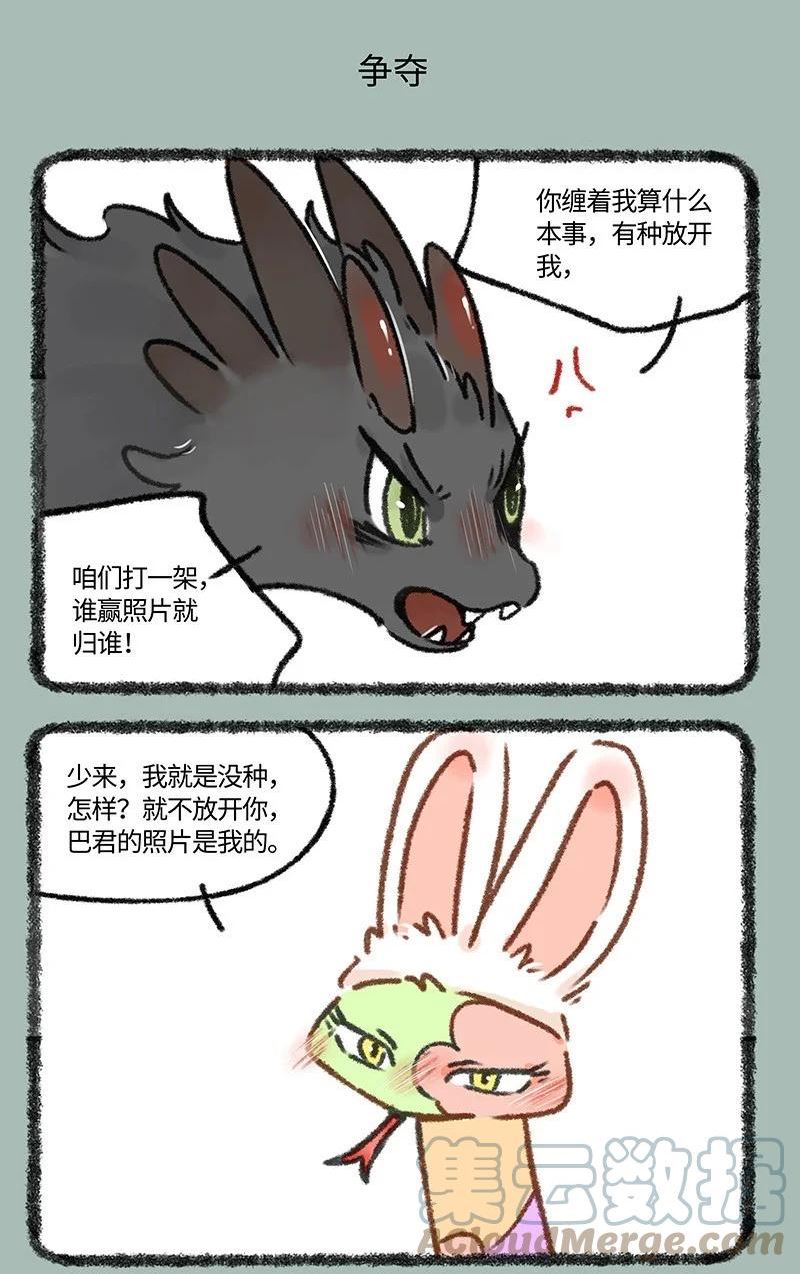 683 照片归属3