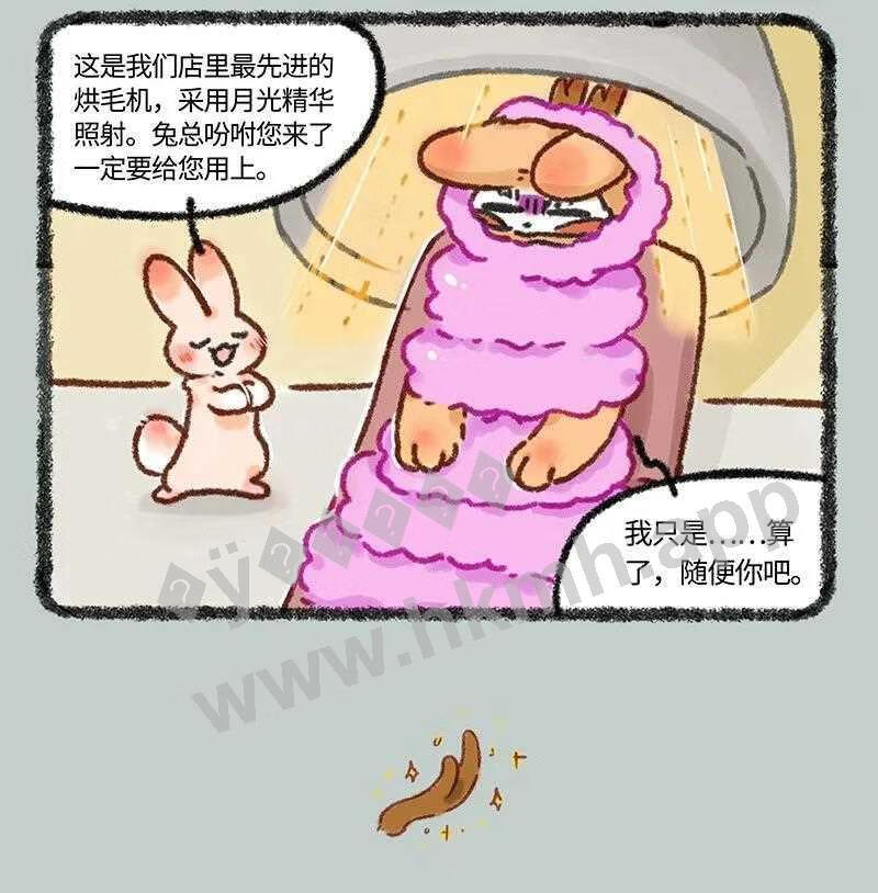 617 精致的一天3