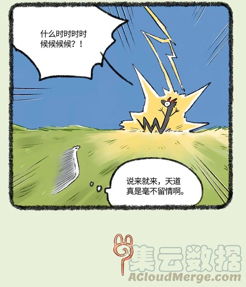 503 天劫降临3