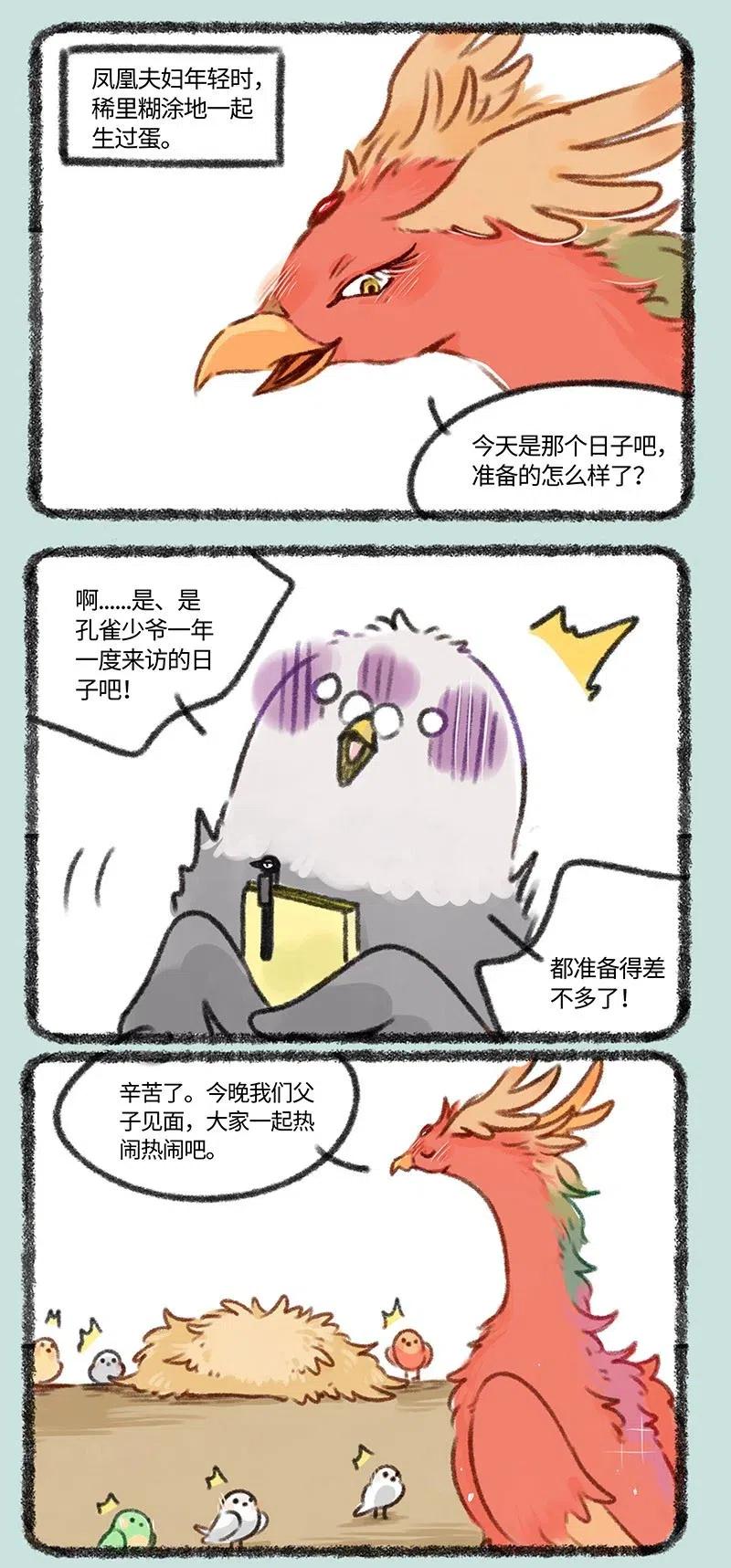 402 孔雀来访1