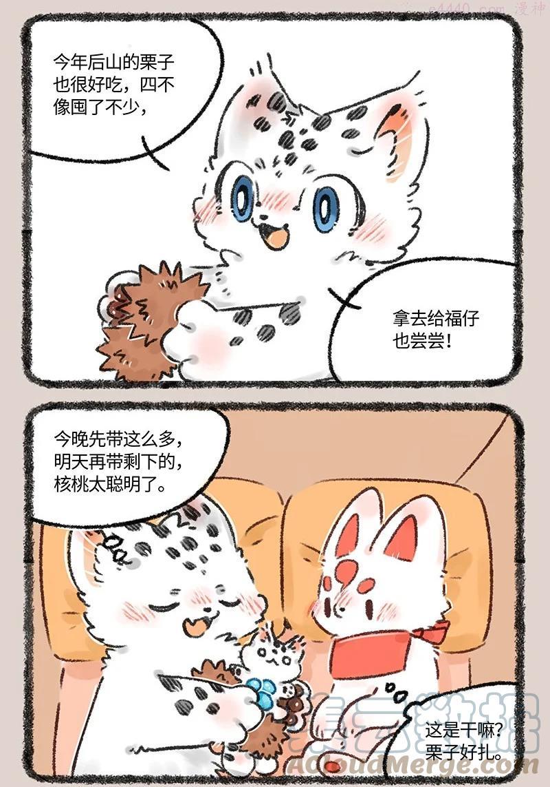 552 被狐狸包围的核桃4