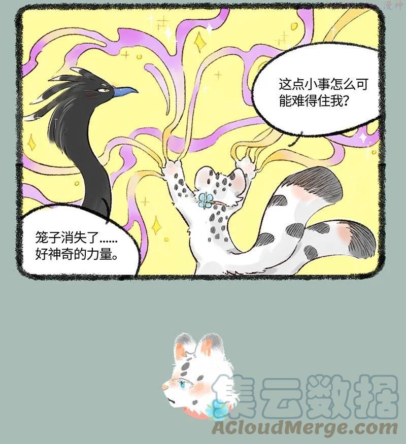 528 孟极篇之棉桃筑梦2