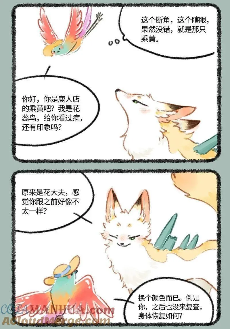 806 治愈花椒2