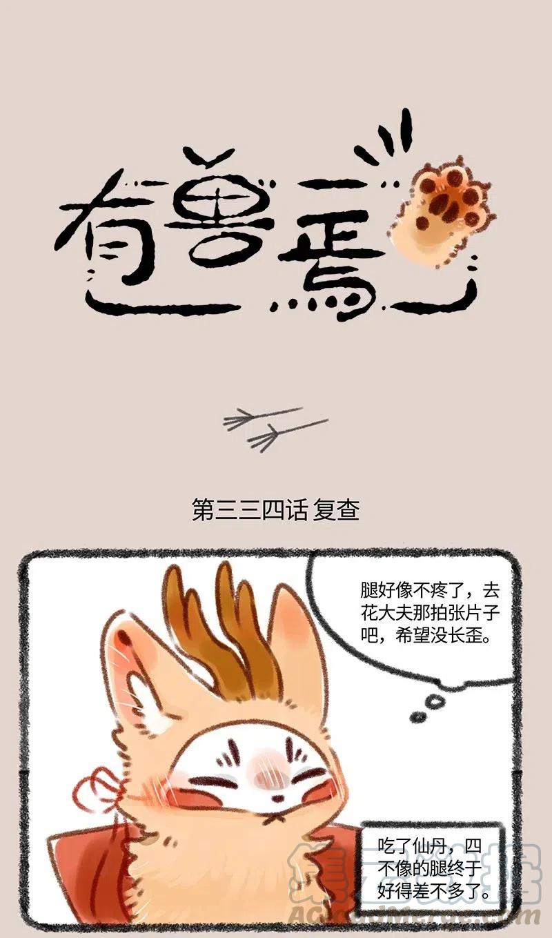 334 花大夫的设定0