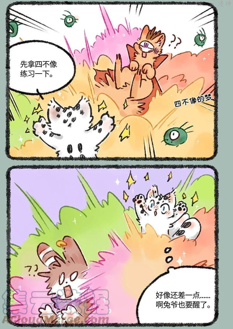 553 送给福仔的礼物1