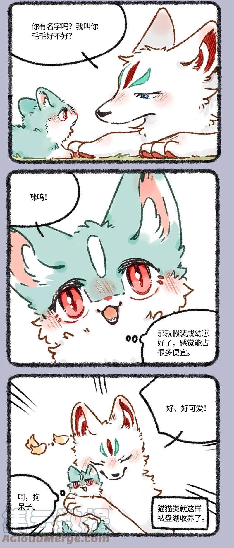 622 猫猫的骗局1