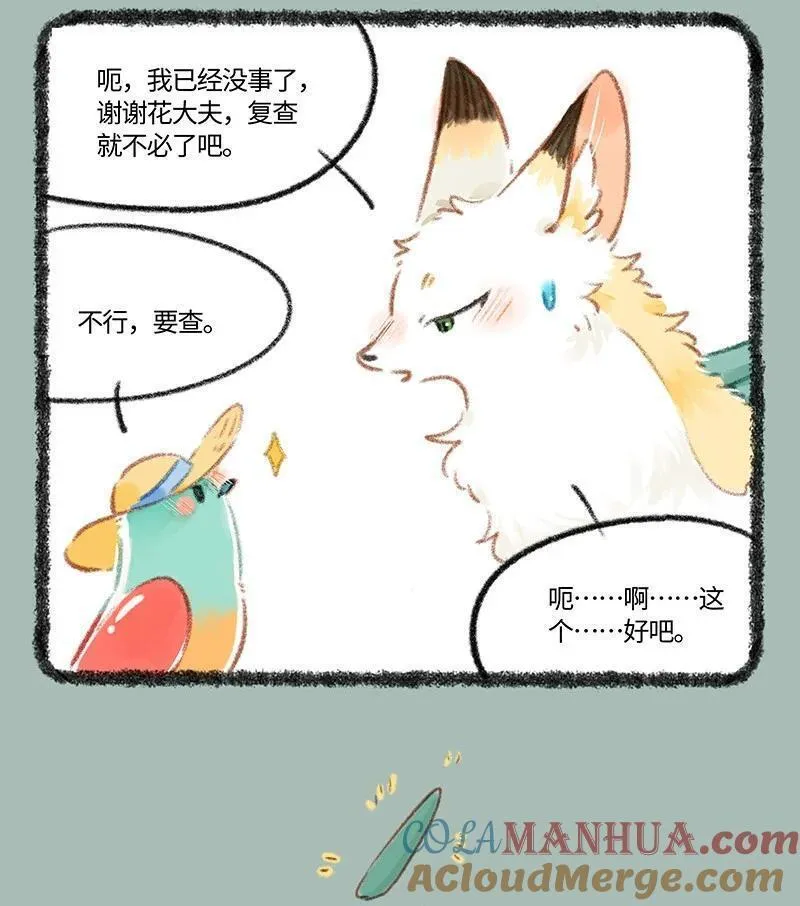 806 治愈花椒3