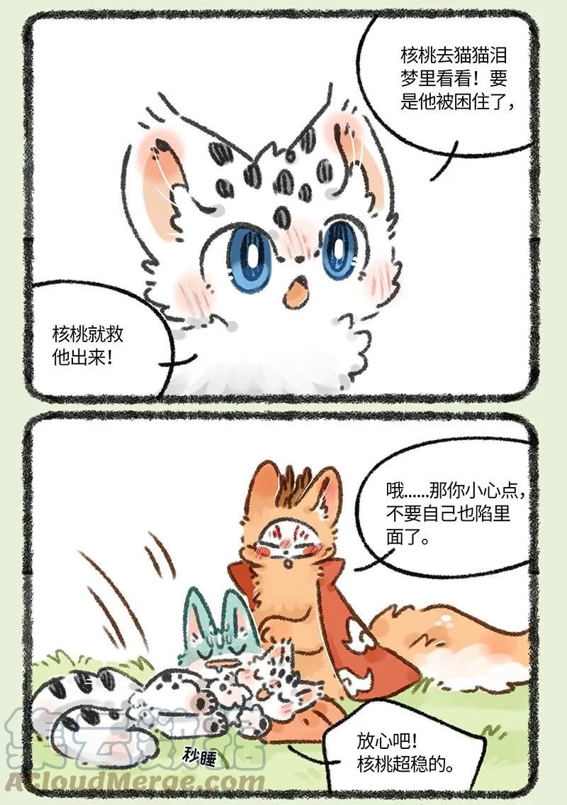 664 这种猫精埋了吧4