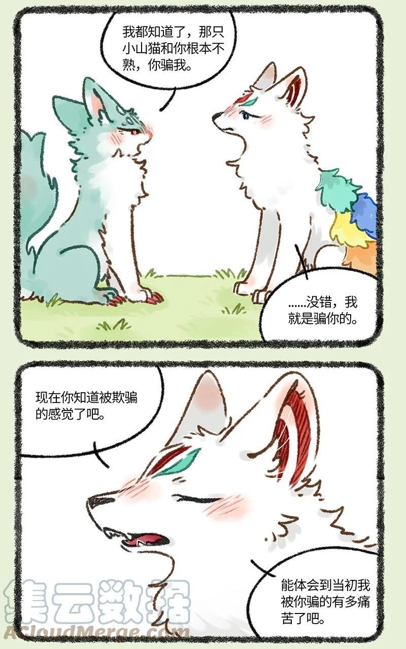 664 这种猫精埋了吧0