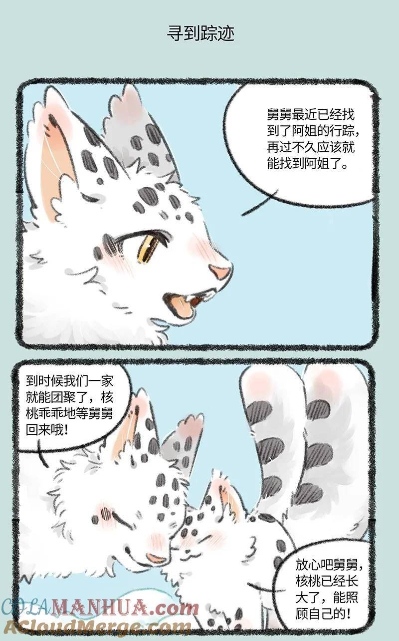 734 寻得踪迹4