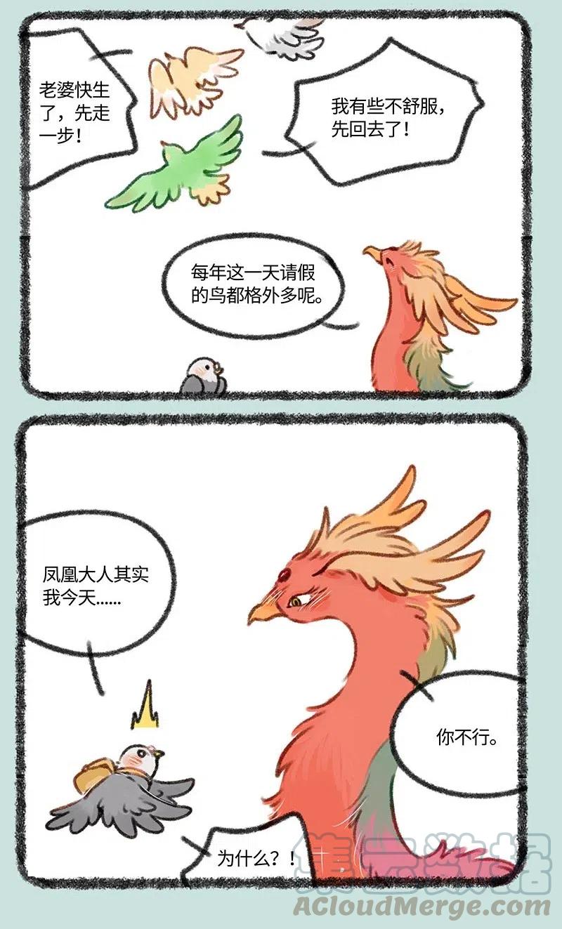 402 孔雀来访2
