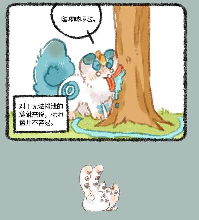 296 特殊的圈地方法3