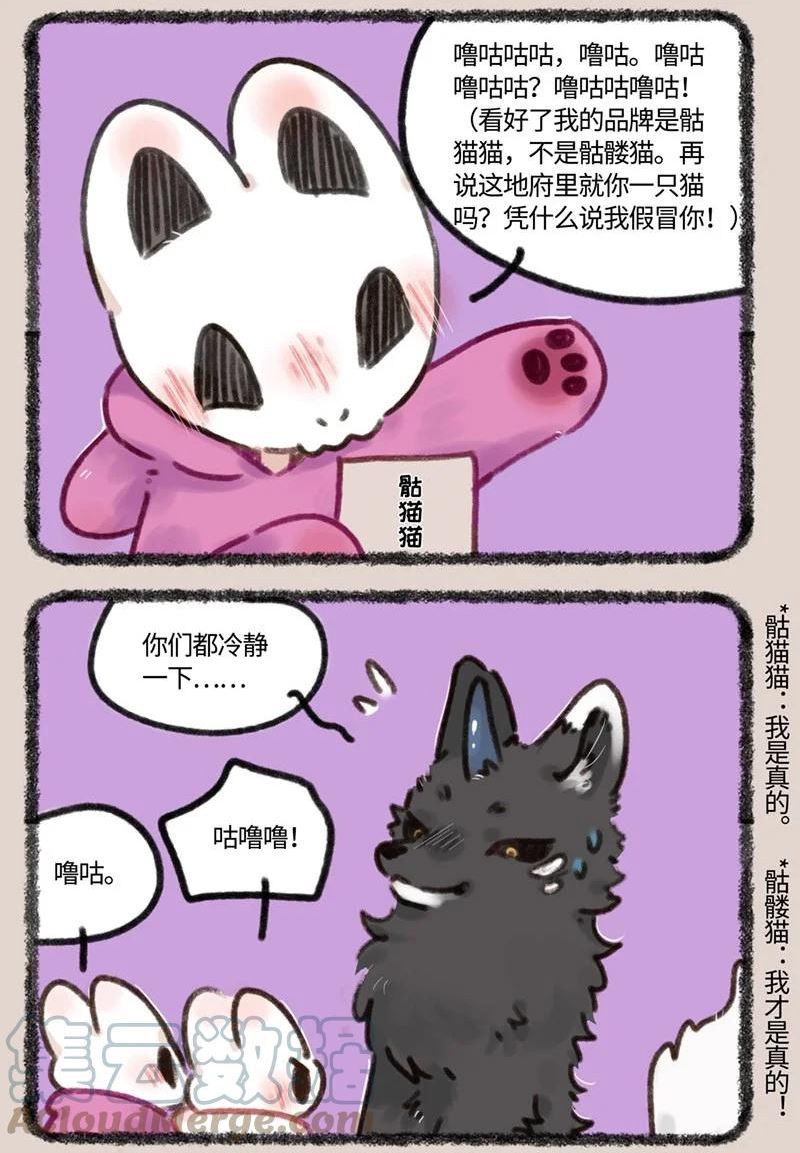 689 假的真不了2