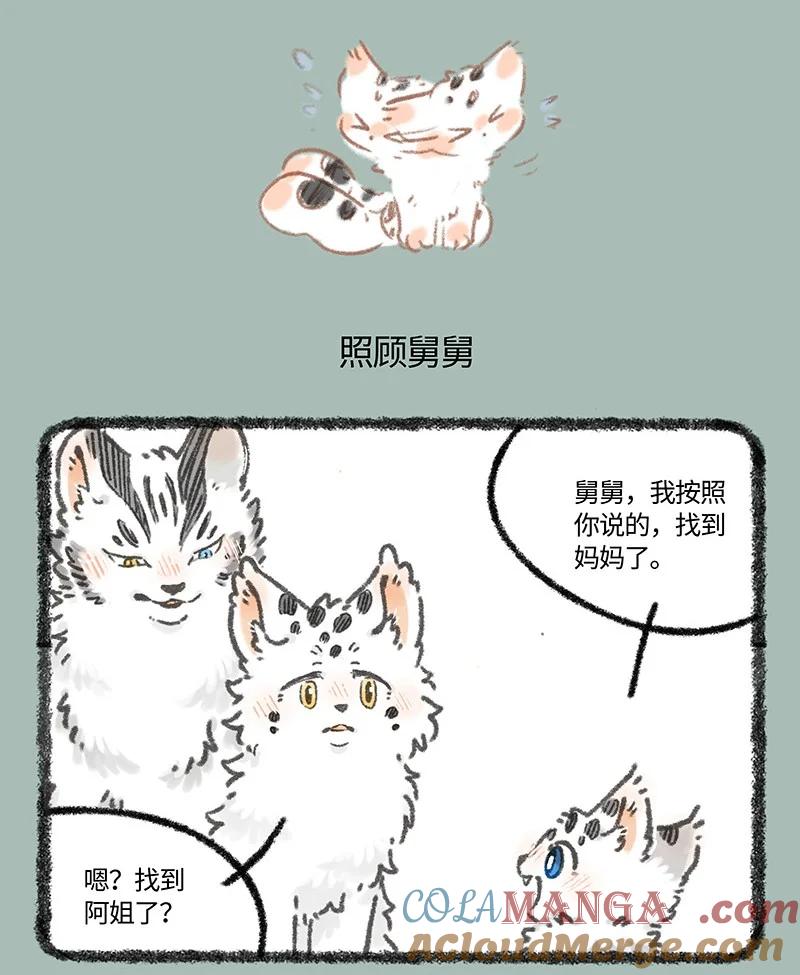 979 孟极篇之一夜的成长3