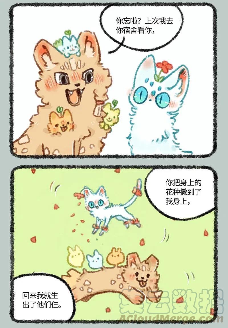 478 小山雀喜当爹3