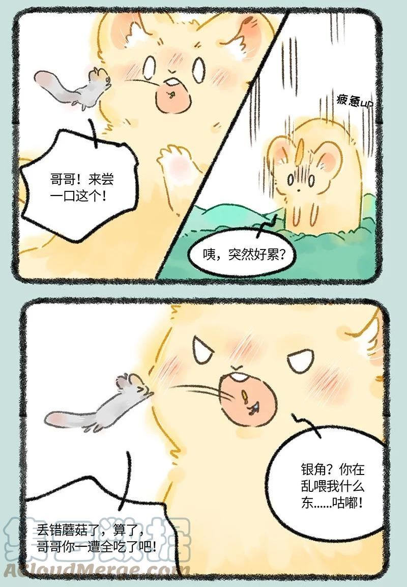 有兽焉~漫画,656 膨胀的金角5图