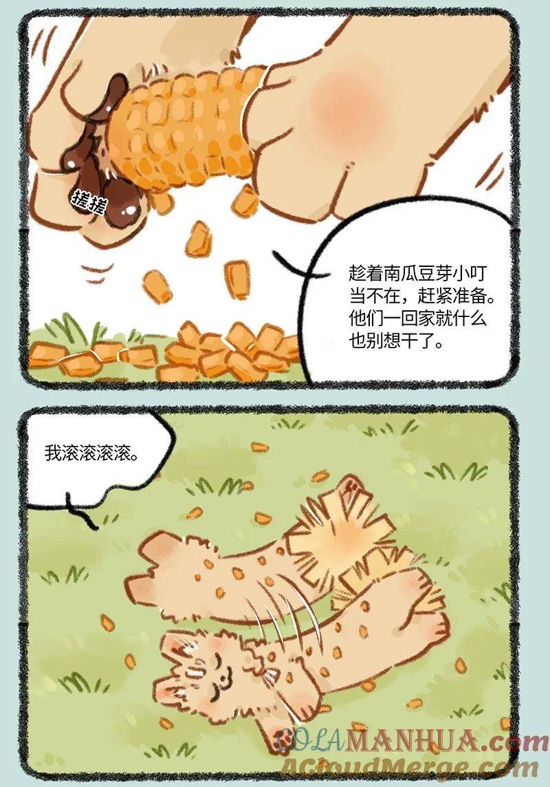 795 刍狗新时尚2