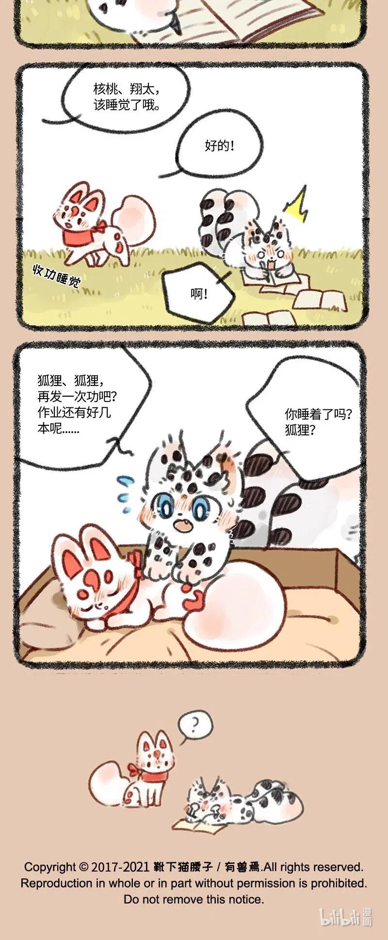 412 智慧狐狸3