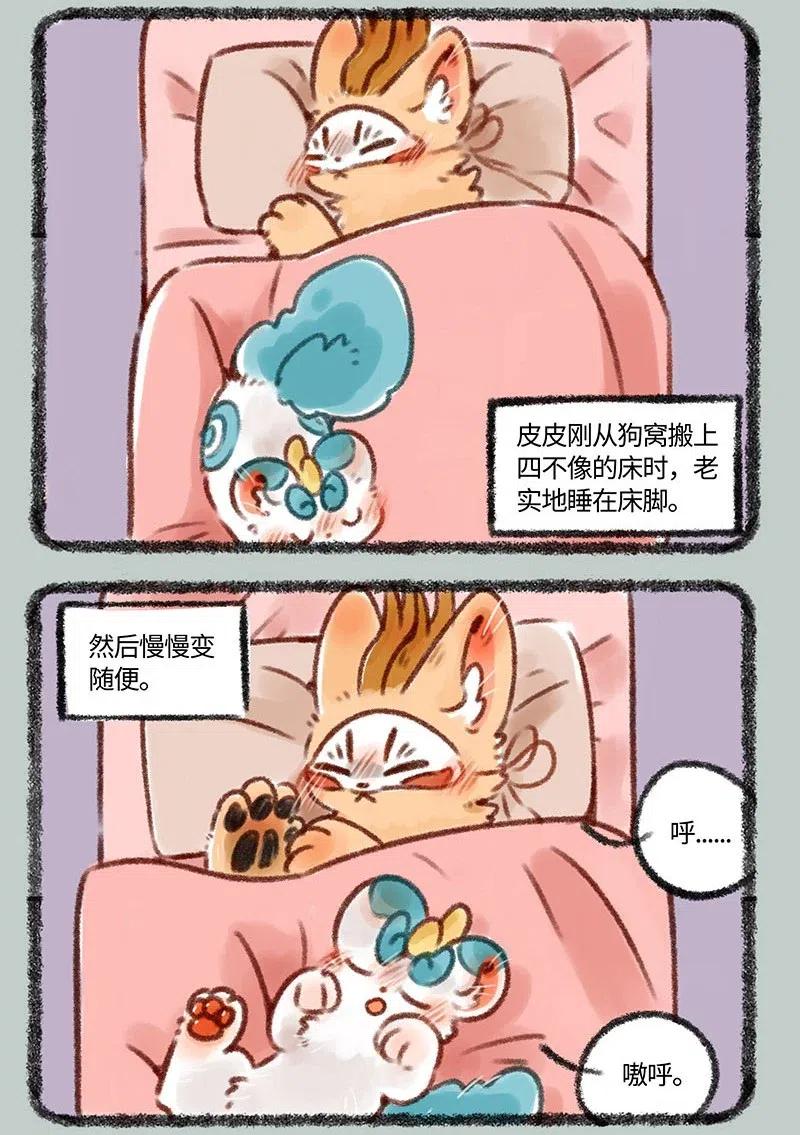 372 睡觉的位置1