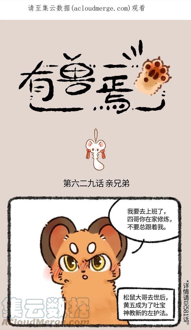 629 亲兄弟明算账0
