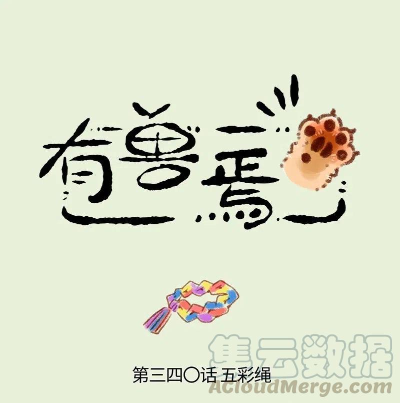 340 五彩绳1