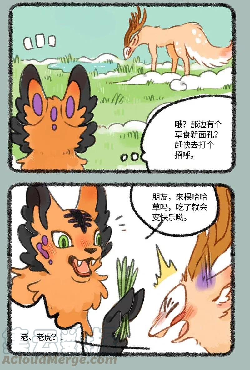 326 向前看2