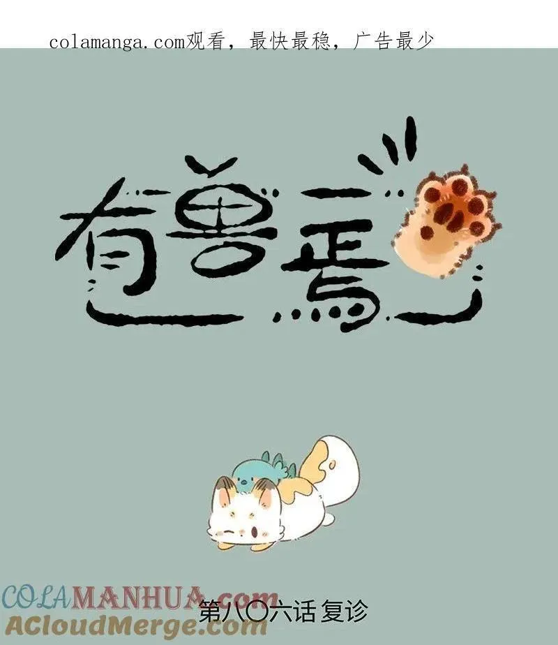 806 治愈花椒0