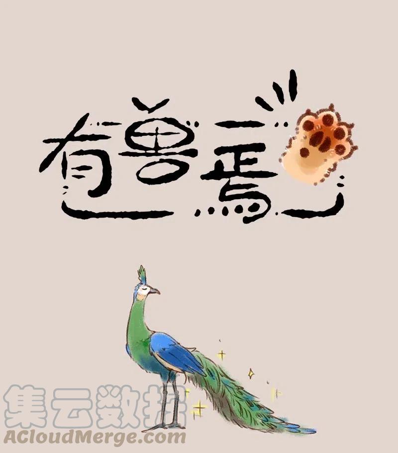 403 像小时候一样0
