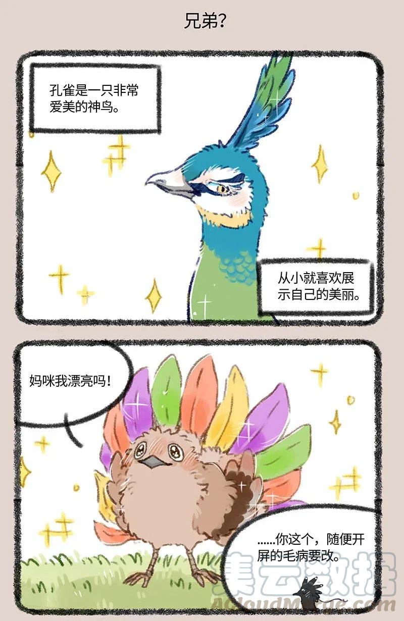 410 金翅大鹏和孔雀4